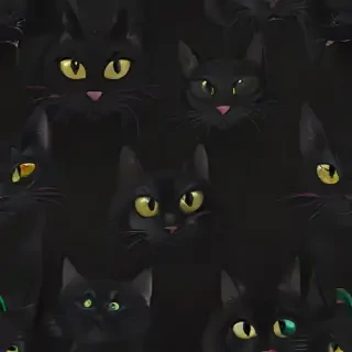 black cats