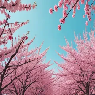 aesthetic spring wallpaper