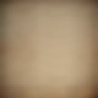 vintage texture overlay