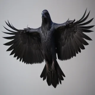 raven png