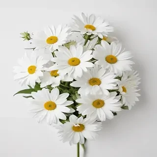 white flowers on white background
