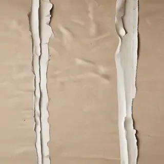 torn paper textures