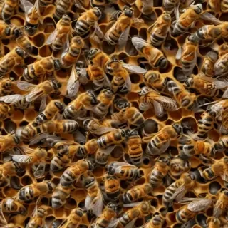 bees png