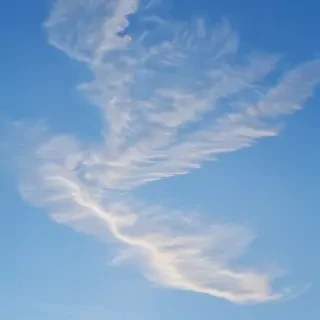 sky blue background