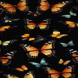 butterflies in black background