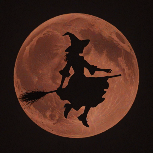 Double exposure, a silouette of a witch on a broomstick centered in the middle of an blood orange full moon.  Any suggestions on getting a good image of a witch on a broomstick centered in the middle of an blood orange full moon.  I tried different generators and changed the wording around.