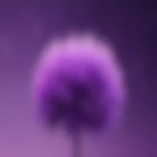 purple aesthetic wallpapers iphone
