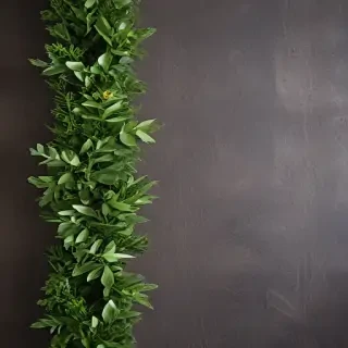 greenery border