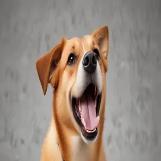dog barking sound