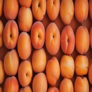 peach color bg