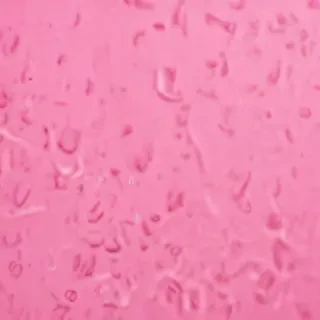 pink zoom background