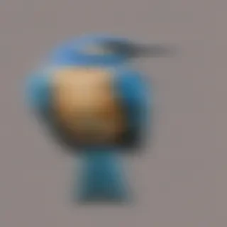 bird transparent
