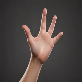 hand reaching png