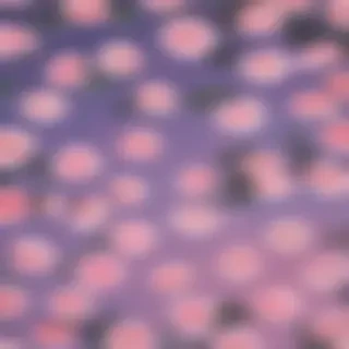 wallpapers for phones aesthetic