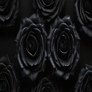 black roses background