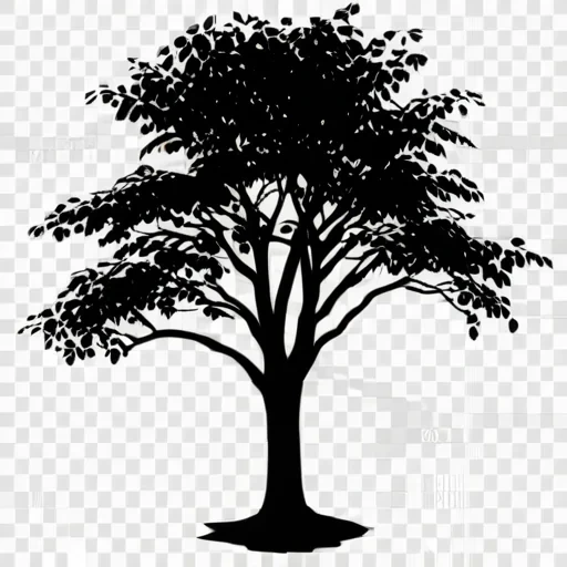 tree shadow png