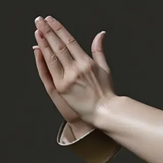 praying hands png transparent
