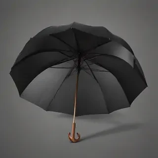 umbrella png