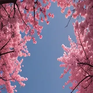 pretty aesthetic wallpapers