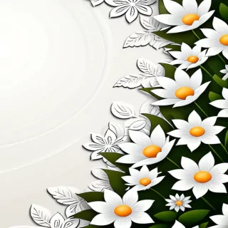flower background white