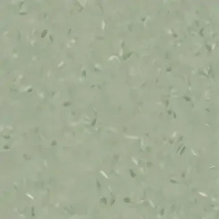sage green backround