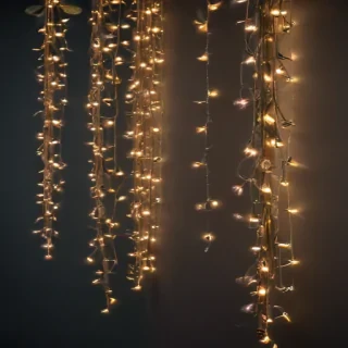 fairy lights png