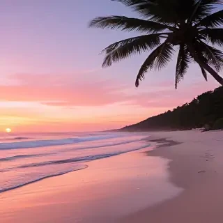pink beach sunset