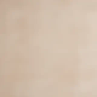 neutral colors background