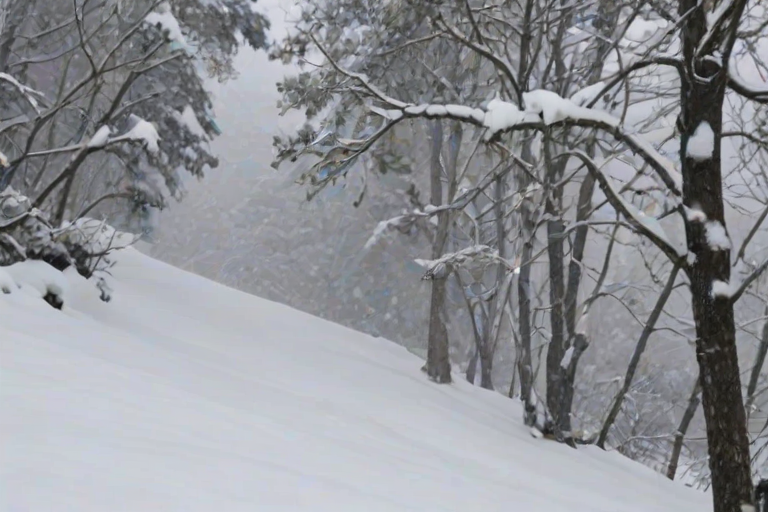 snowing png