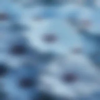 blue flower wallpaper aesthetic