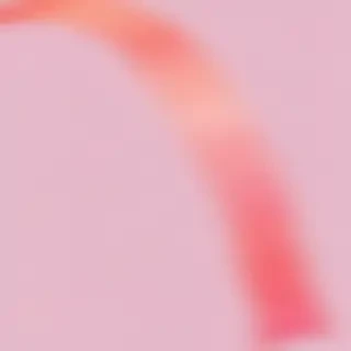 banner clipart png