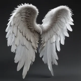 angel wings transparent background