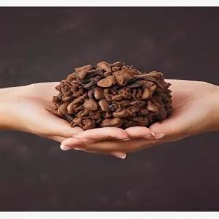 donate png