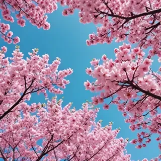 springtime iphone wallpaper