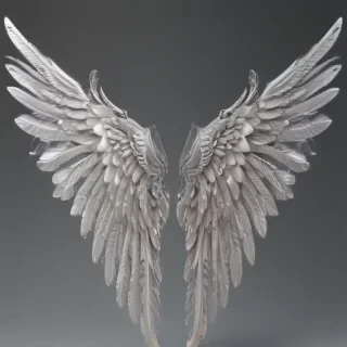 angel wings transparent background