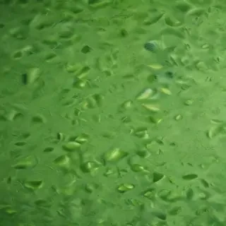 background green texture