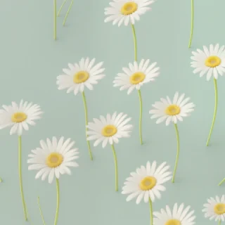aesthetic pastel cute daisy wallpaper