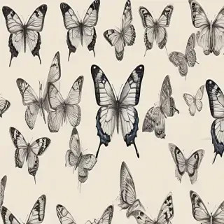 images of drawings of butterflies