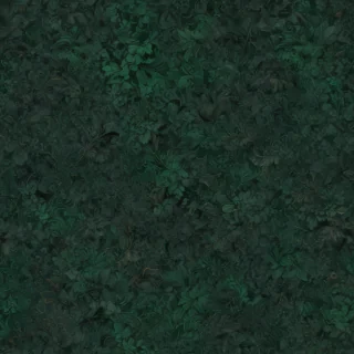 dark green colour wallpaper