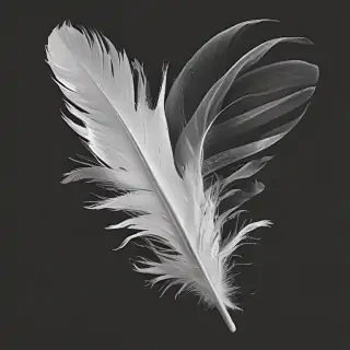 feather png