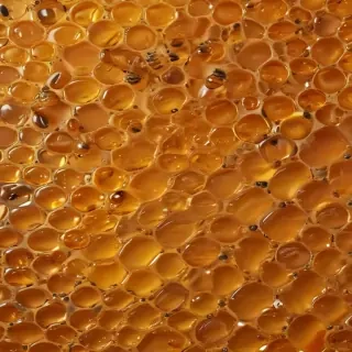 honey background