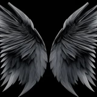 wings background