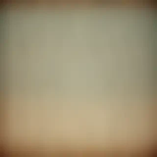 vintage texture overlay