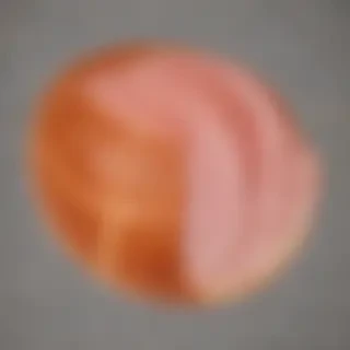 ham png
