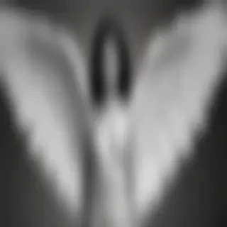 black and white angel
