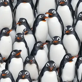 penguin backgrounds
