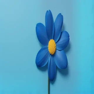 blue background flower