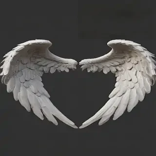 angel wings png