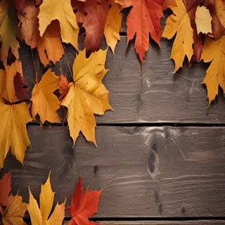iphone backgrounds fall