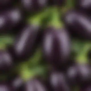 eggplant png